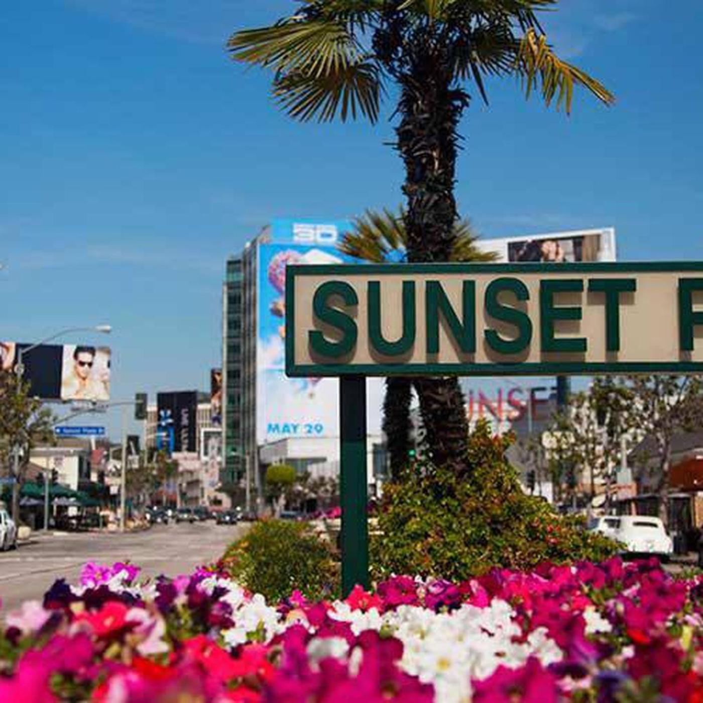 Amazing Large 2 Bedroom West Hollywood Apartment Los Angeles Luaran gambar